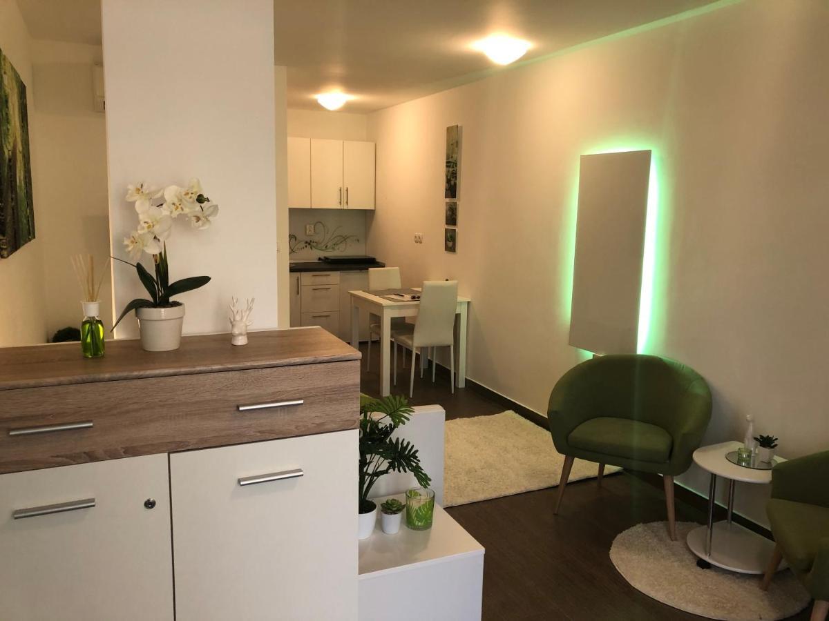 Luxury Central Studio Under The Castle Appartement Ljubljana Buitenkant foto